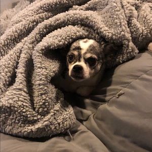 Meet your Posher, Megan